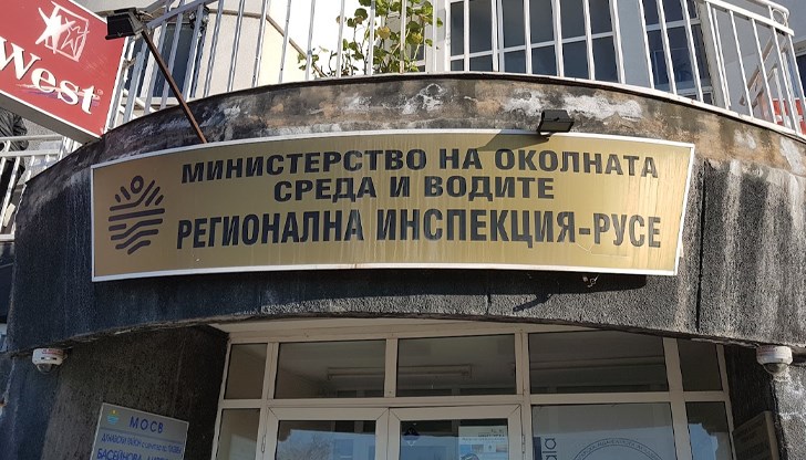 Те са от защитен вид, съобщиха екоеспертите