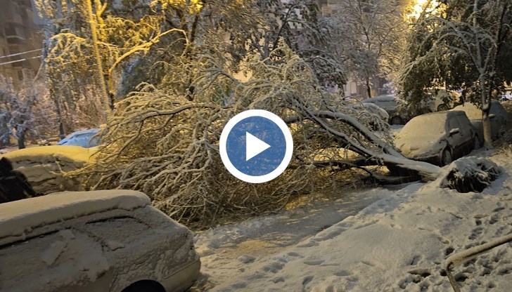 Кой носи отговорност за тях и как трябва да действат потърпевшите?