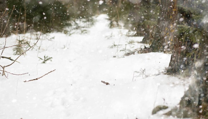 Кои пътища са затворени?