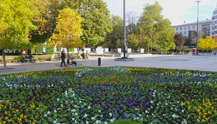 Какво показват данните от exit poll-a на "Тренд" за другите градове?