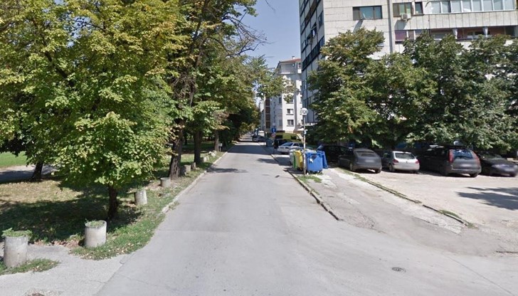 Причината е санитарна резитба на дърветата