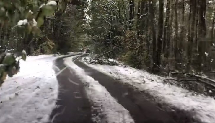 Силният вятър и снеговалеж в Източна България вече взеха две човешки жертви