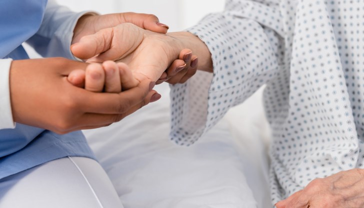 Най-голяма е бройката на лицата в надтрудоспособна възраст, които са без увреждания, но имат нужда от резидентна грижа