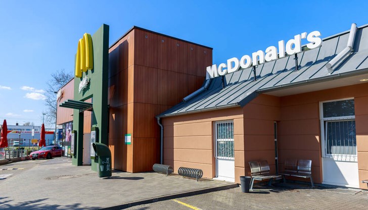 Мишките били боядисани в цветовете на палестинското знаме