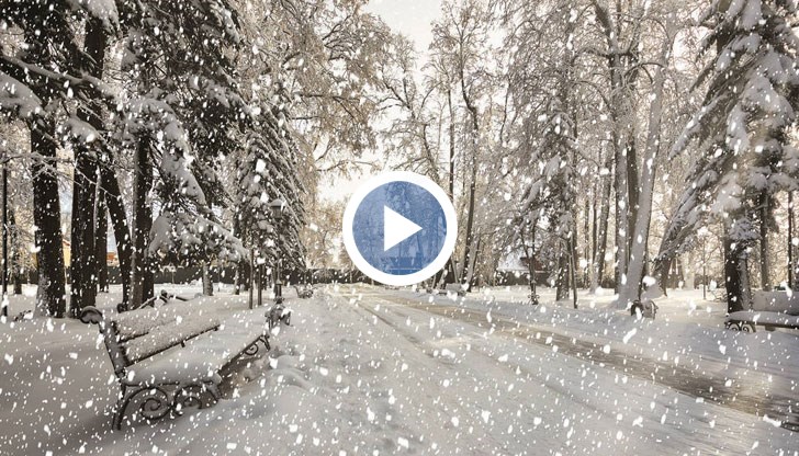 Вижте 15-дневната прогноза