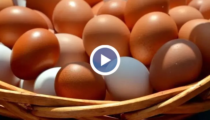 Нямам логично обяснение защо ни спират, казва собственик на ферма