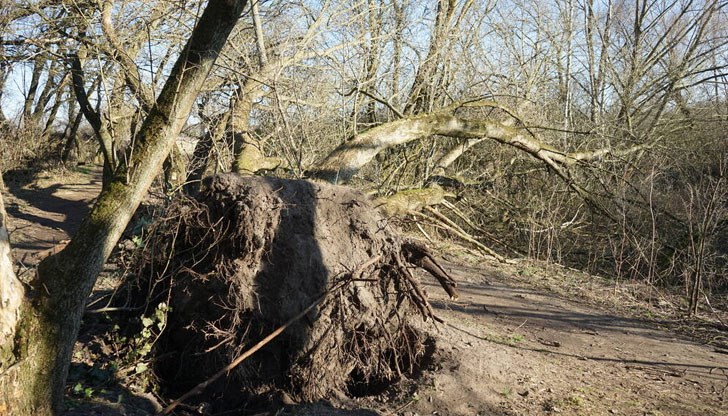 Населени места останаха без ток Населени места останаха без ток