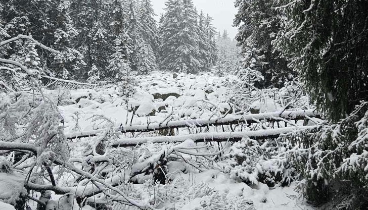 21 населени места в област Варна все още са без електрозахранване