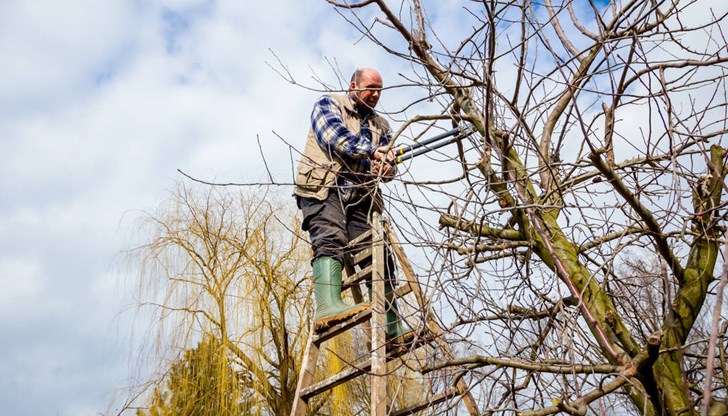 За движение на МПС на 24 ноември ще бъде затворен участъка от ул. „Борислав“ до ул. „Яребична“