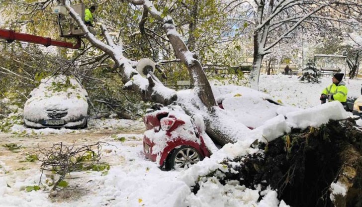 Инцидентът е станал в столичния квартал "Лагера"
