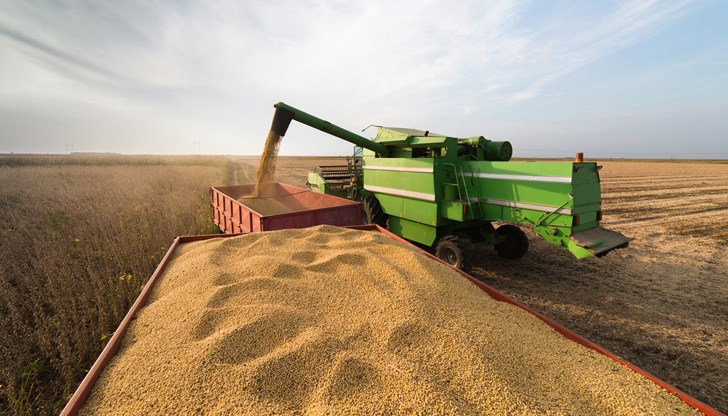 Тазгодишната реколта на пшеница в Русия възлиза на почти 99 милиона тона