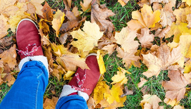 Максималните ще са между 12° и 17°, в Русе - около 15° Максималните ще са между 12° и 17°, в Русе - около 15°
