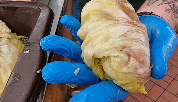 Над 100 килограма кайма и около 350 кг кисело зеле са вложени в добруджанската сарма, каза Ути Бъчваров