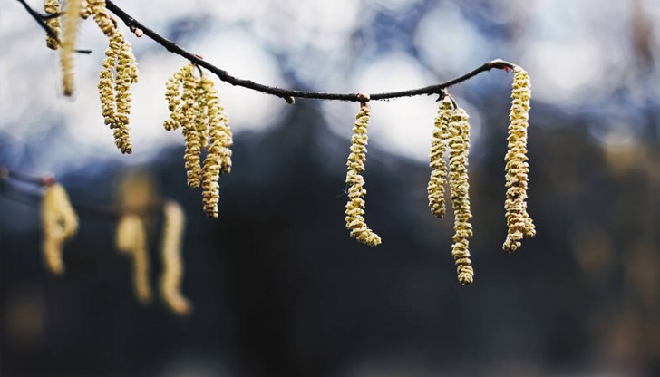 Идват застудявания и валежи Идват застудявания и валежи