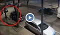 Десетки автомобили осъмват с нарязани гуми в София