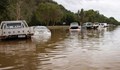 Крокодили плъзнаха по улици в Австралия след невиждани наводнения