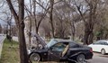 Дрогиран шофьор нацели дърво във Варна