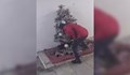Задигнаха коледна елха в Перник
