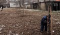 Ще засадят близо 700 храсти и дървета в Русе