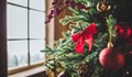 Първата коледна елха в България се появява в Русе
