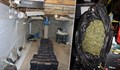МВР - Русе разби оранжерия за марихуана