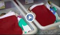 Четири бебета проплакаха за първи път по Рождество в Русе