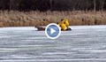 Пожарникари спасиха елен от леден капан в езеро