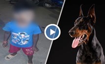 Полицейско куче намери отвлечено дете в Мумбай
