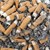 Учени произвеждат биодизел от фасове от цигари