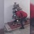 Задигнаха коледна елха в Перник
