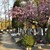 Разширяват гробищния парк "Бакърена фабрика" в София