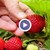 Производителите на малини и ягоди изпращат трудна година