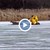 Пожарникари спасиха елен от леден капан в езеро