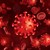 Петима души с коронавирусна инфекция са починали за денонощие у нас