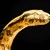 Черепите на змиите показват как се адаптират към плячката си