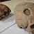 Пращат черепи от гробница в Стара Загора за изследване в БАН