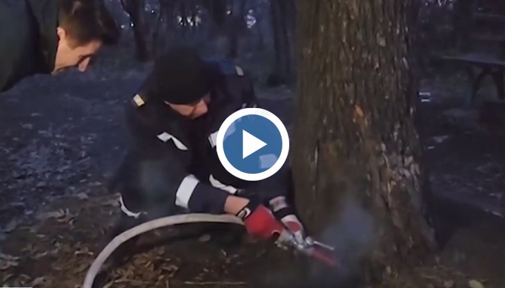 Сигнал на телефон 112 подали случайни минувачи