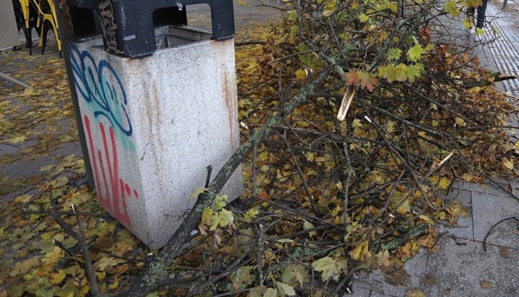 Разчистват паднали клони, дървета и отнесени ламарини от покриви