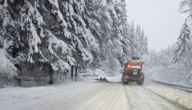 Разчистват множество паднали дървета по пътищата за София, за Ихтиман, за Боровец и за Мальовица Разчистват множество паднали дървета по пътищата за София, за Ихтиман, за Боровец и за Мальовица