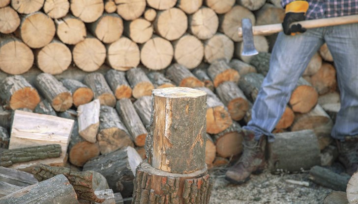 Служители на Второ РУ са започнали проверка по сигнал за незаконна сеч в горски масив в Русе Служители на Второ РУ са започнали проверка по сигнал за незаконна сеч в горски масив в Русе
