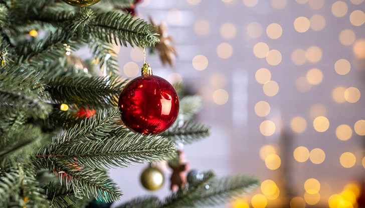 Концерти и шоупрограми ще забавляват зрителите на трите големи телевизии Концерти и шоупрограми ще забавляват зрителите на трите големи телевизии