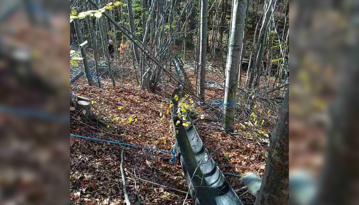 Системата Log Line представлява улей, по който се извършва спускане на дървесина по гравитачен път