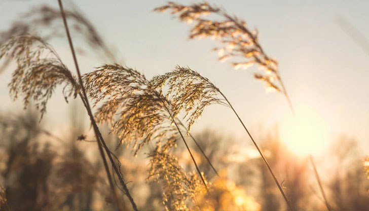 В четвъртък ще проникне порция студен въздух В четвъртък ще проникне порция студен въздух