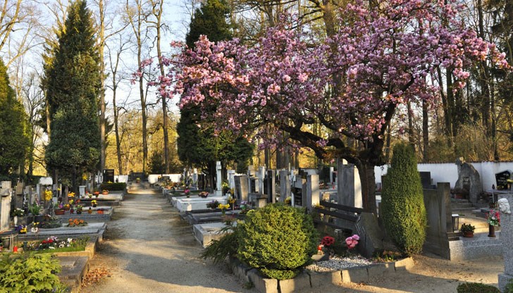 Васил Терзиев иска промяна в наредбата за гробищните паркове, за да бъдат по-ясно разпределени отговорностите за поддръжката на гробищната инфраструктура Васил Терзиев иска промяна в наредбата за гробищните паркове, за да бъдат по-ясно разпределени отговорностите за поддръжката на гробищната инфраструктура