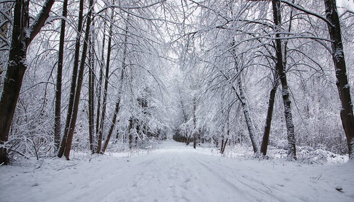 На 22 декември, в 05:27 ч. започва астрономическата зима