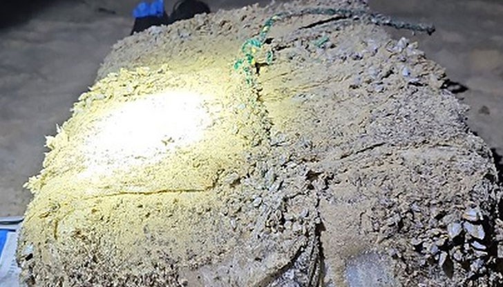 Първата партида от 39 еднокилограмови пакети, покрити с корали е открита преди няколко дни близо до плажа Магента Първата партида от 39 еднокилограмови пакети, покрити с корали е открита преди няколко дни близо до плажа Магента