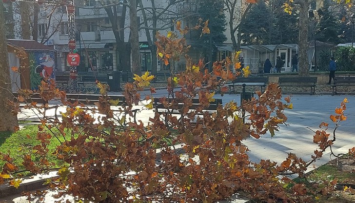 Инцидентът е станал днес по обяд