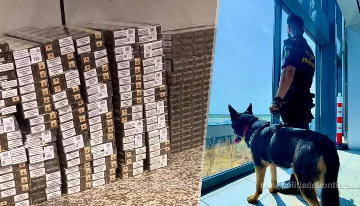 Цигарите били открити с помощта на кучето Ебаса