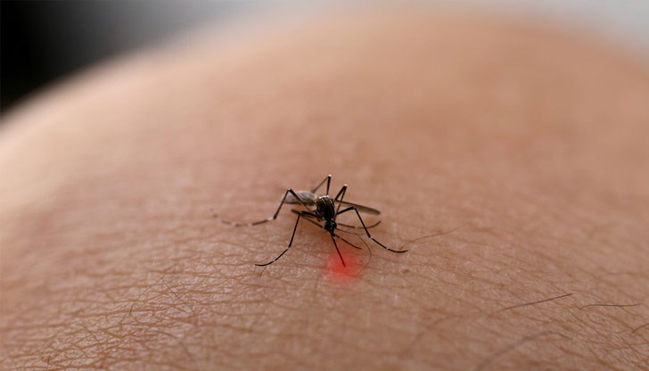 Това е най-бързо разпространяващото се заболяване, пренасящо се от комари