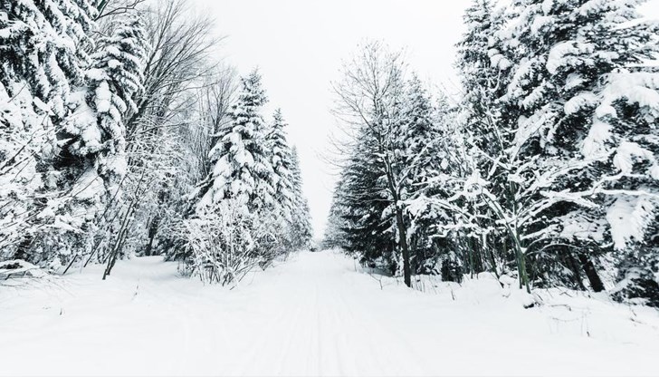 В 11:00 часа достъпът до планината с автомобил вече е затворен В 11:00 часа достъпът до планината с автомобил вече е затворен